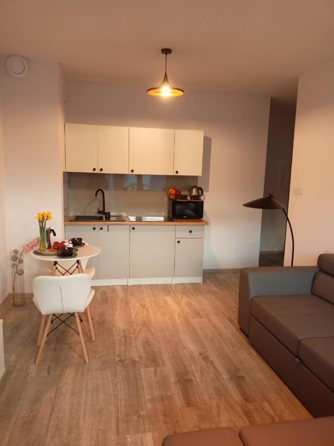 شقة Apartament Z Sauna I Jacuzzi رادوم المظهر الخارجي الصورة